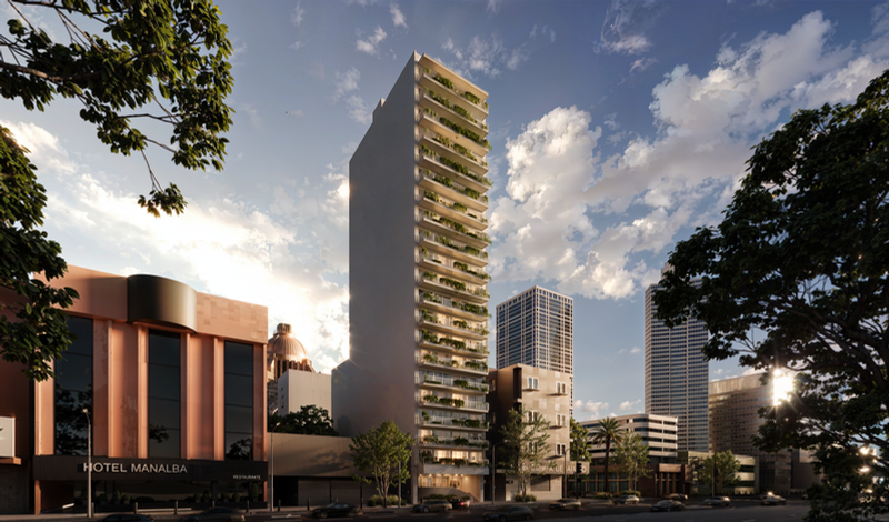 Lirio Reforma