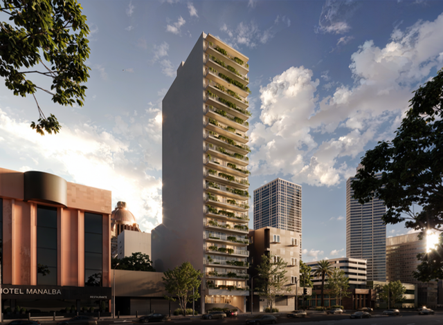 Lirio Reforma
